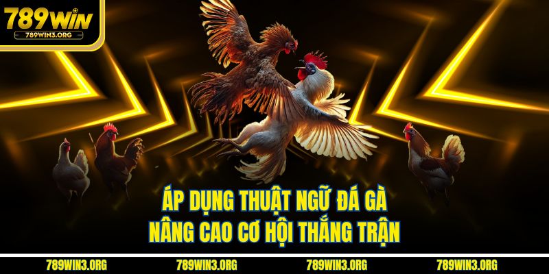 Áp dụng thuật ngữ đá gà nâng cao cơ hội thắng trận
