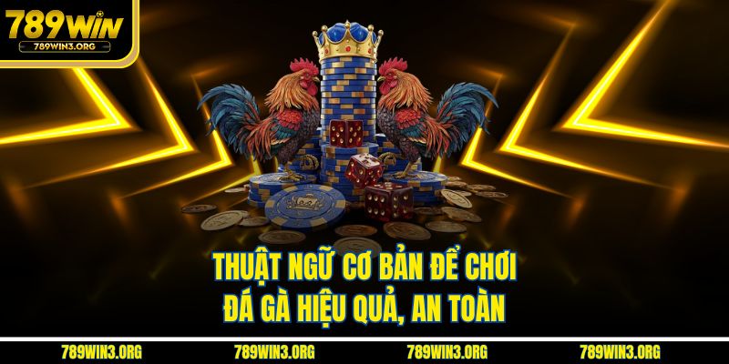 Thuật ngữ cơ bản để chơi đá gà hiệu quả, an toàn