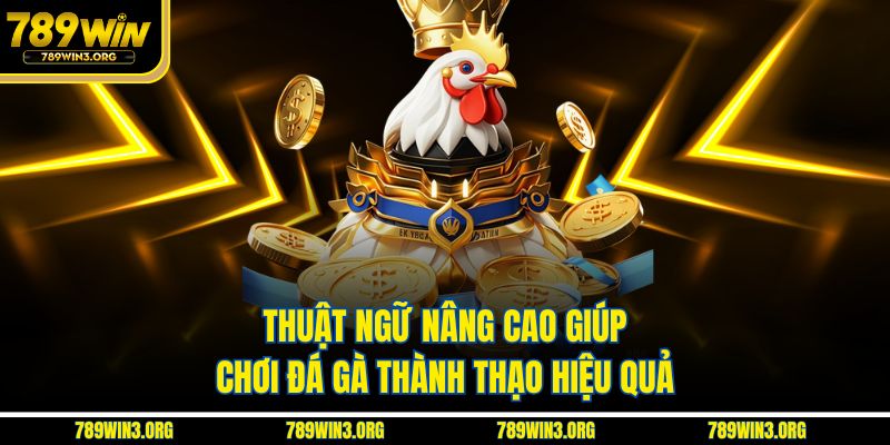Thuật ngữ nâng cao giúp chơi đá gà thành thạo hiệu quả